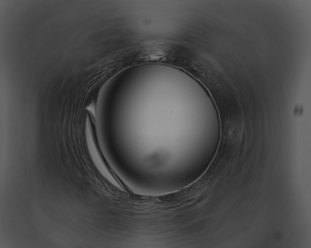 X0000091691442200708301530
