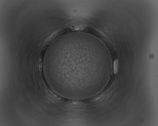 X0000091691443200708301530