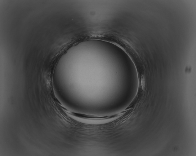 X0000091691444200708301530