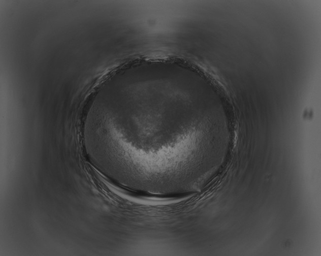 X0000091691445200708301530