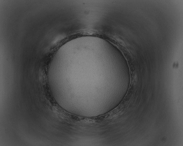 X0000091691446200708301530
