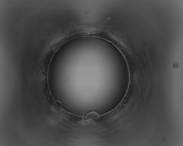 X0000091691447200708301530