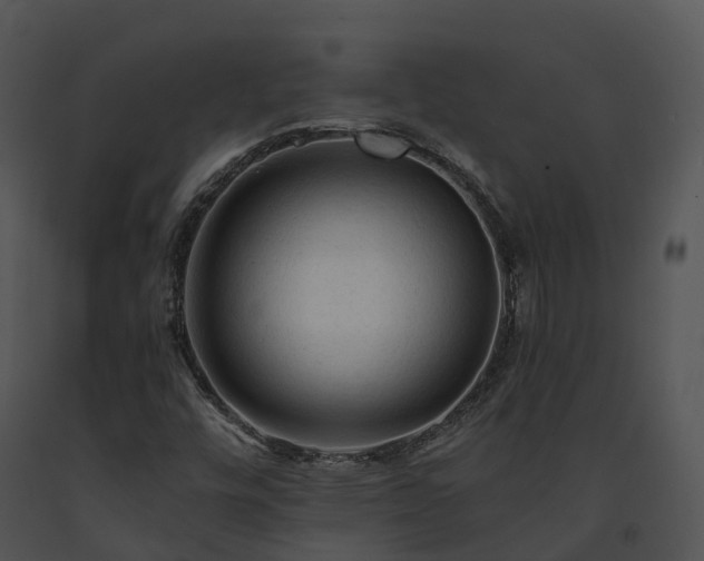 X0000091691448200708301530