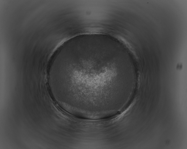 X0000091691449200708301530