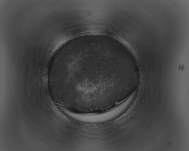 X0000091691450200708301530