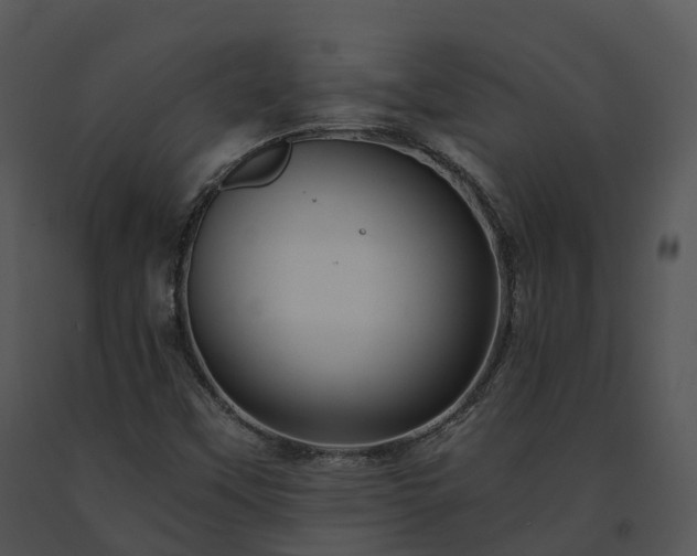 X0000091691451200708301530