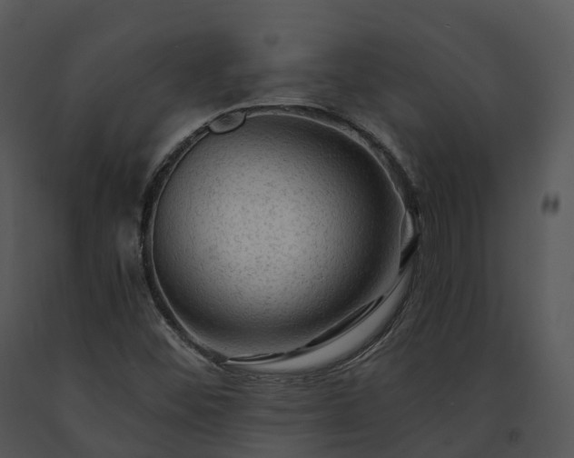 X0000091691452200708301530