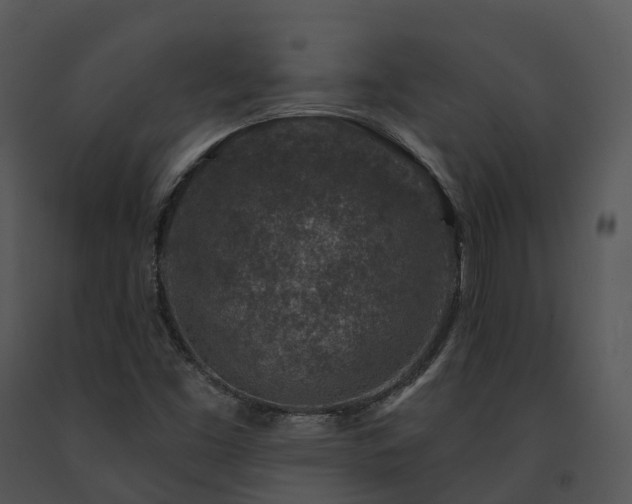 X0000091691453200708301530
