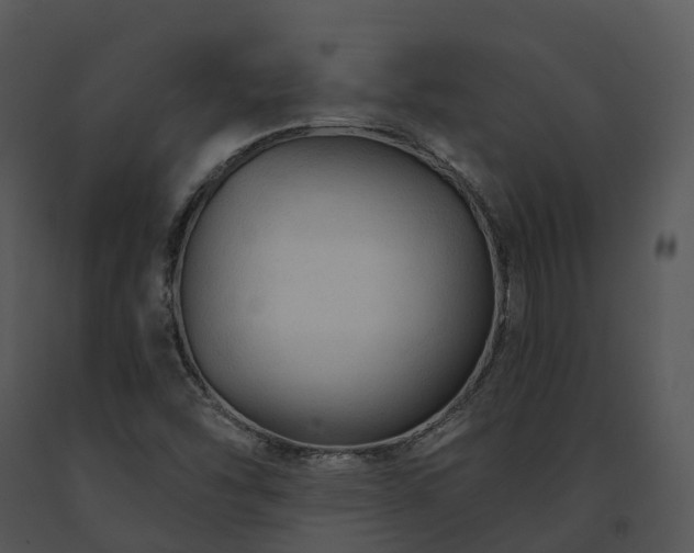 X0000091691454200708301530