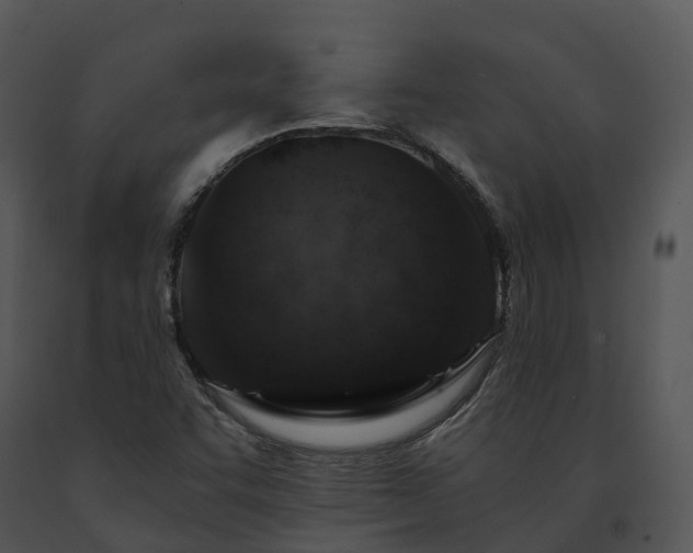 X0000091691455200708301530