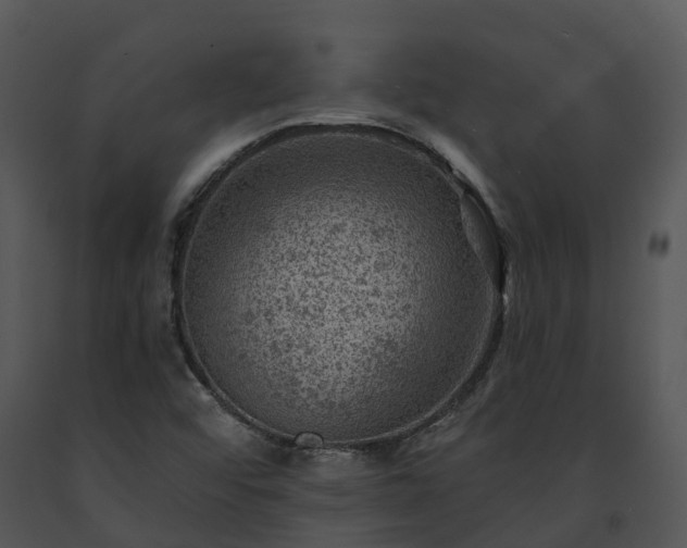 X0000091691456200708301530
