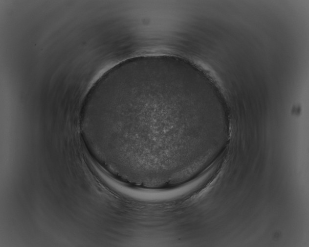 X0000091691457200708301530