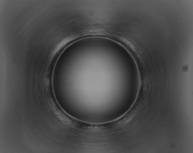 X0000091691458200708301530