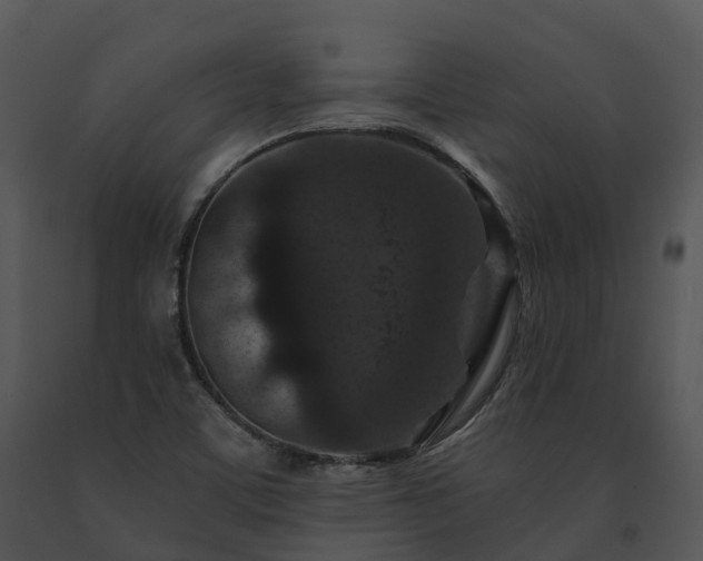 X0000091691459200708301530