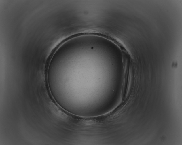 X0000091691460200708301530