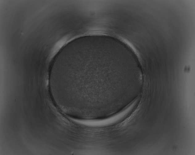 X0000091691461200708301530