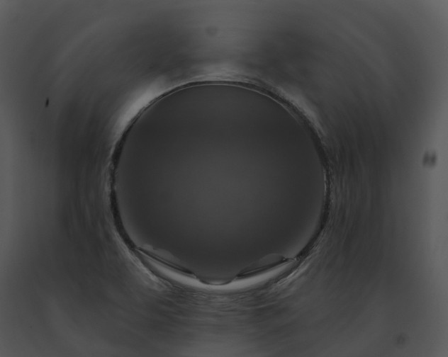 X0000091691463200708301530