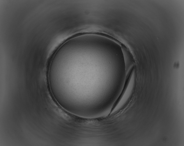 X0000091691464200708301530