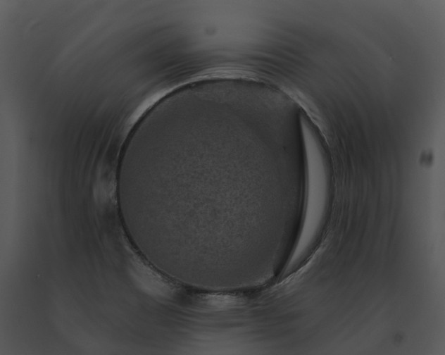 X0000091691465200708301530