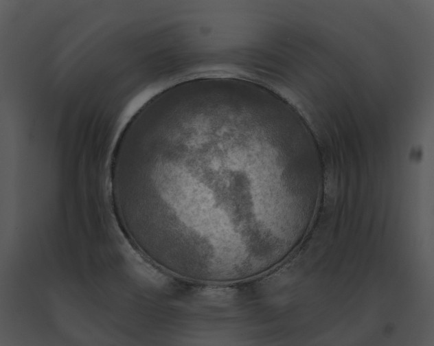 X0000091691466200708301530