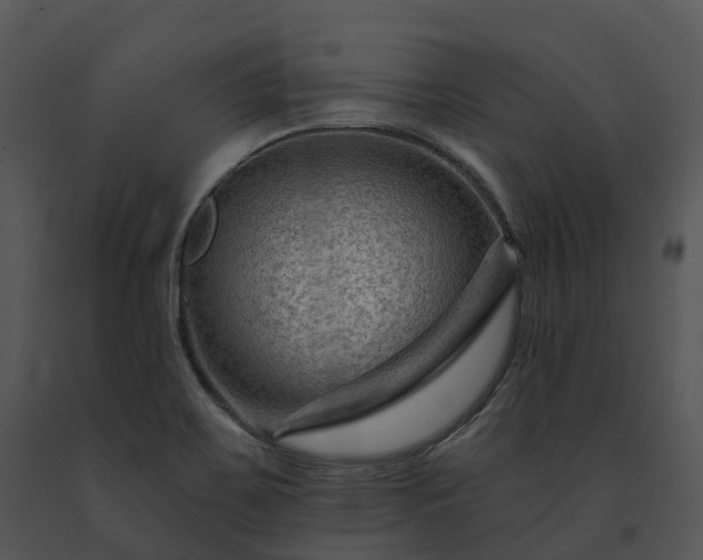 X0000091691467200708301530