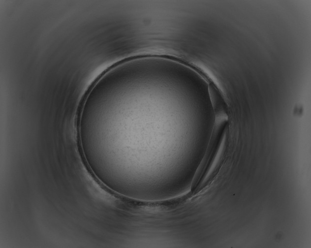 X0000091691468200708301530