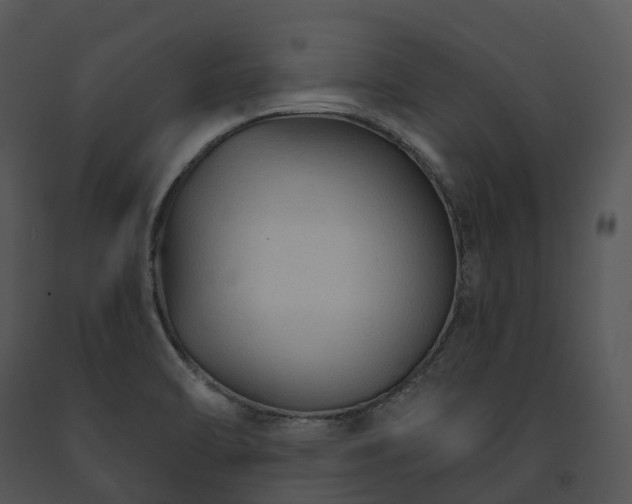 X0000091691470200708301530