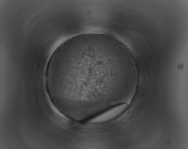 X0000091691471200708301530