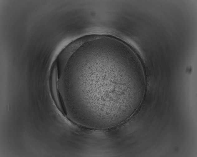 X0000091691472200708301530