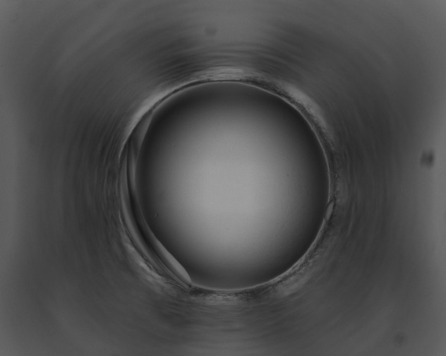 X0000091691473200708301530