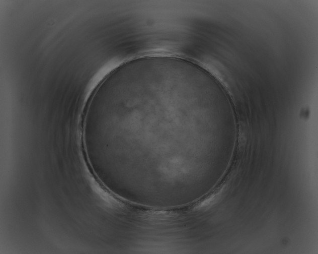 X0000091691474200708301530