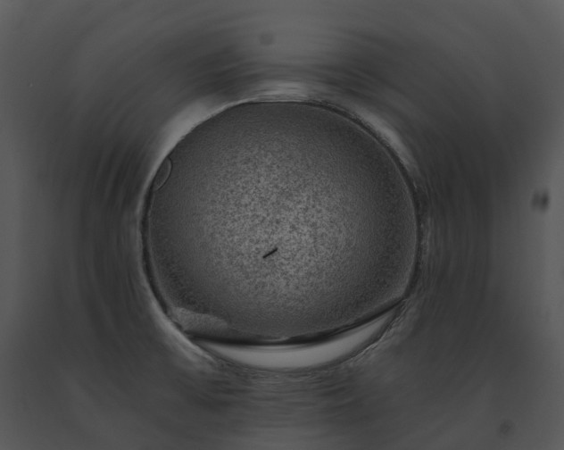 X0000091691475200708301530