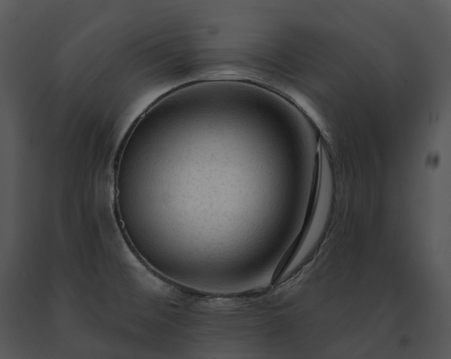 X0000091691476200708301530