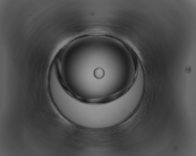 X0000091691477200708301530