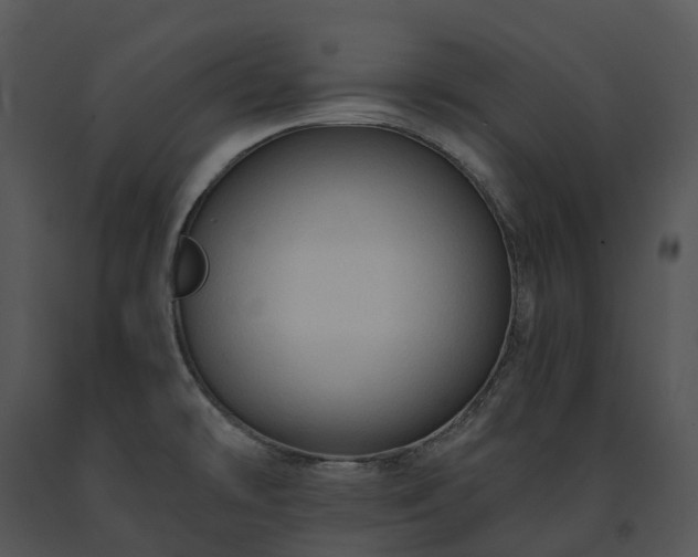 X0000091691478200708301530
