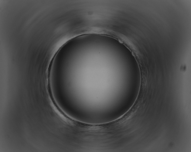 X0000091691479200708301530