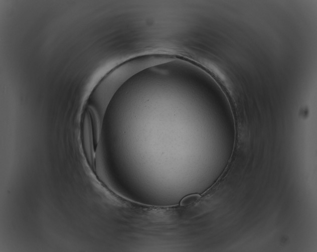 X0000091691480200708301530