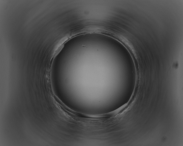 X0000091691481200708301530