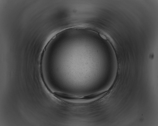 X0000091691483200708301530