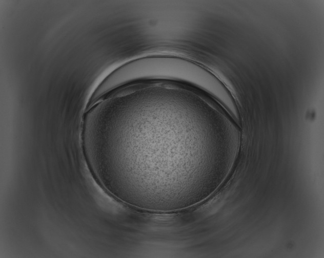X0000091691484200708301530