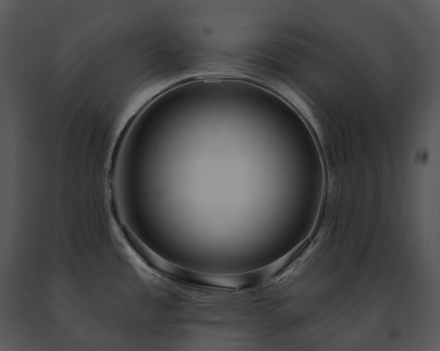 X0000091691485200708301530