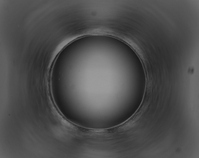 X0000091691486200708301530