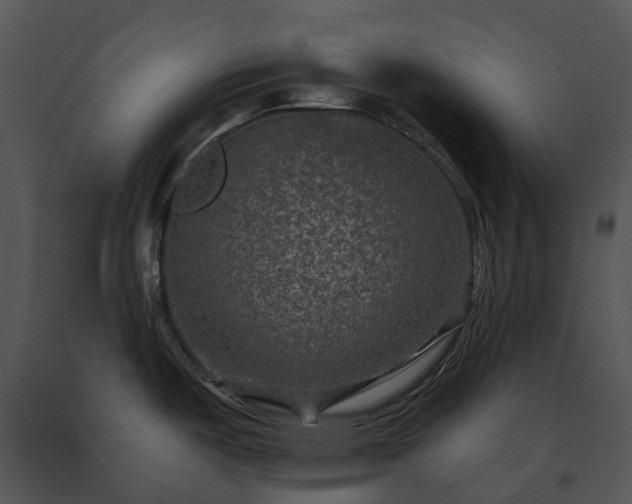 X0000091691487200708301530