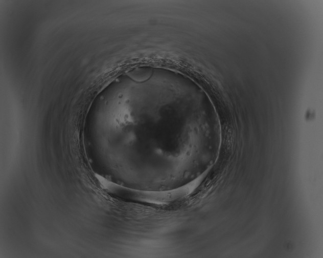 X0000091691489200708301529