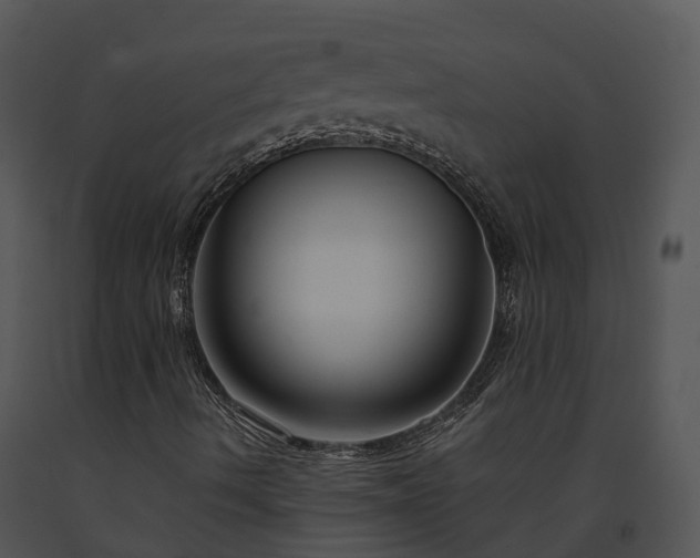 X0000091691490200708301529