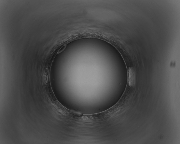 X0000091691491200708301529