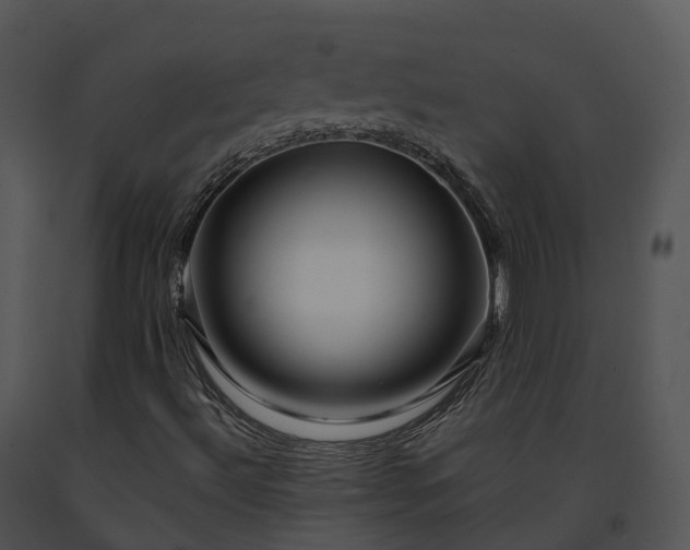 X0000091691492200708301529