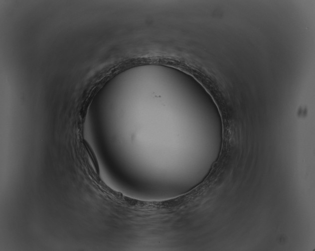 X0000091691493200708301529