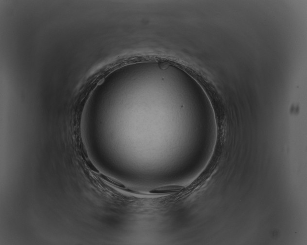 X0000091691494200708301529