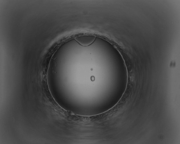X0000091691495200708301529